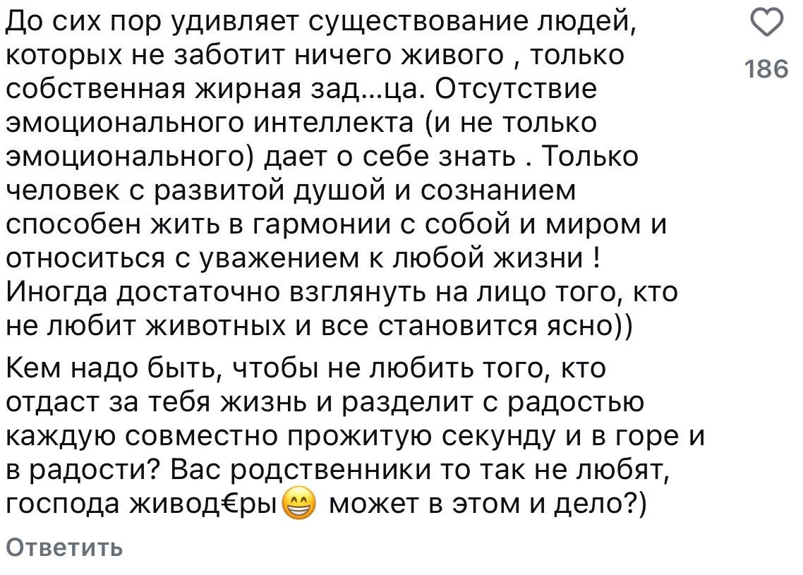 Казнить нельзя помиловать: реакция казахстанцев на новые поправки в закон о животных