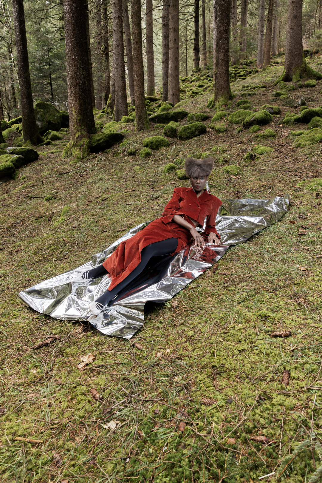 Охотник желает знать