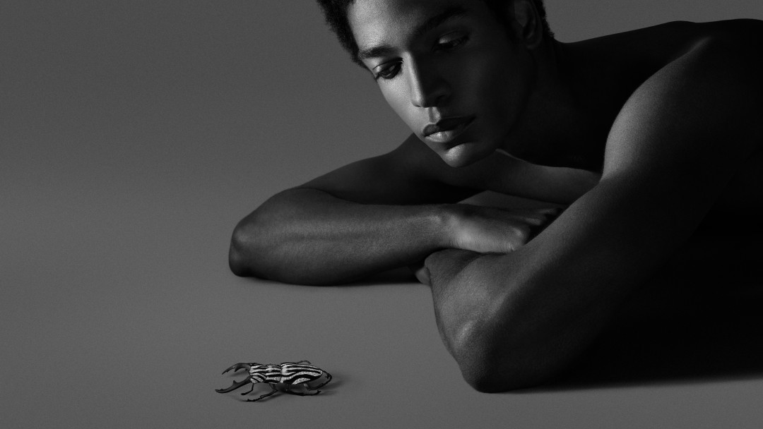 Драгоценная медитация: коллекция Boucheron Carte Blanche Impermanence 