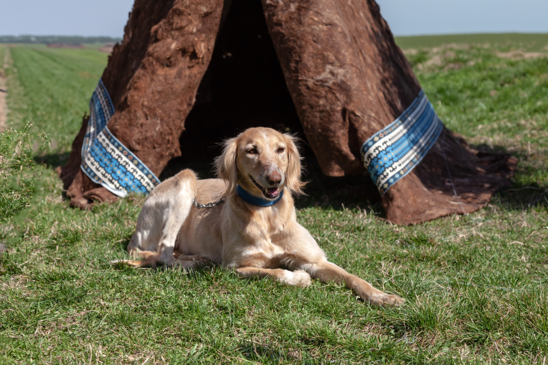 Қазақ мәдениетіндегі «Жеті қазына» ұғымы