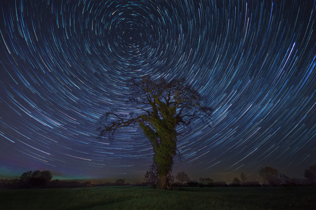 Звездопад Персеиды в Казахстане