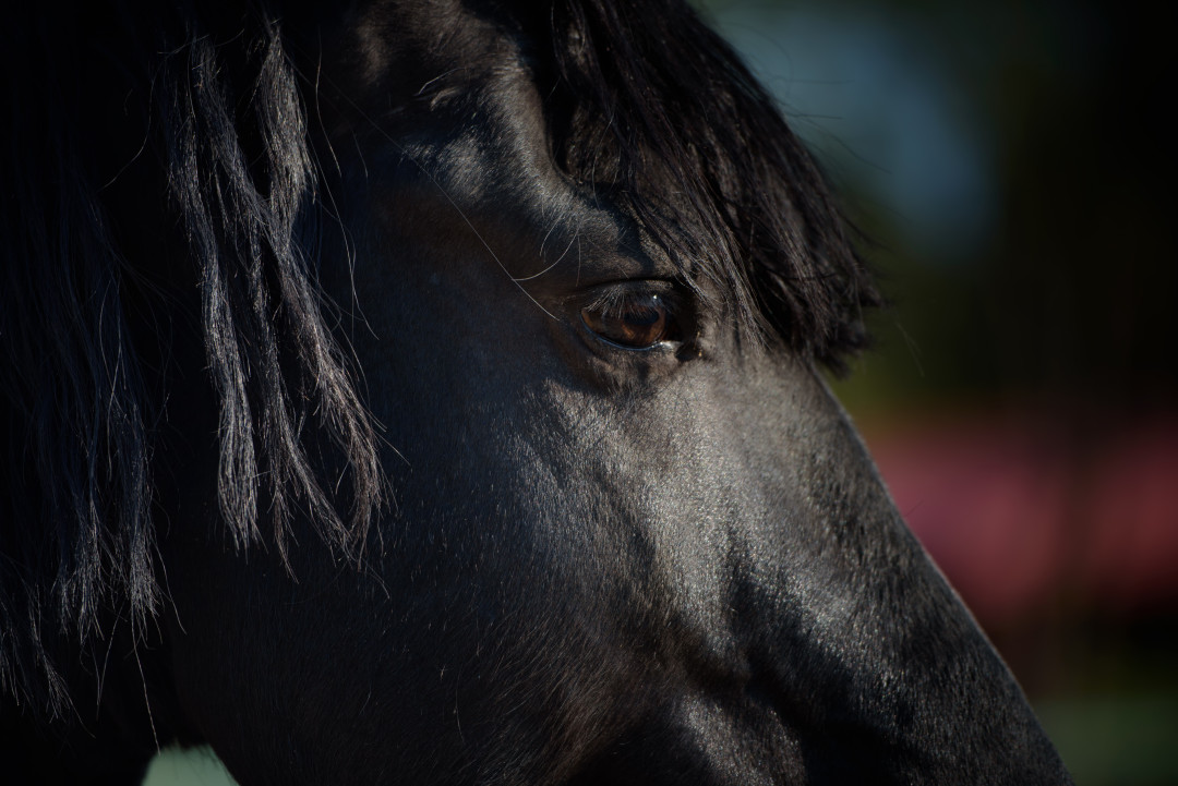 Байғазы деген не? Сыйлық беруге байланысты қазақтың жөн-жоралғылары