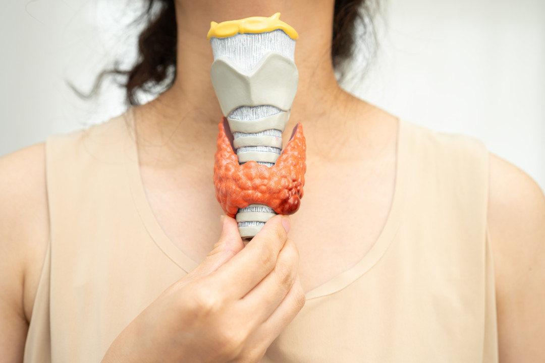 эндокринные дерегуляторы