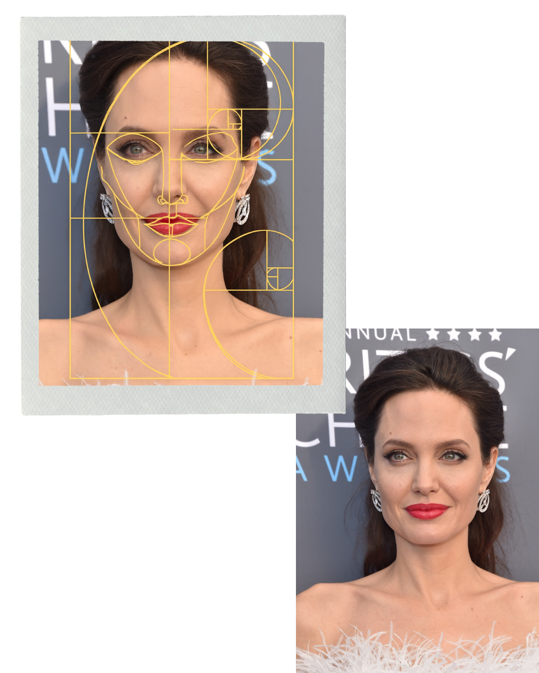 Золотое сечение: формула красоты или миф? Проверяем на знаменитостях