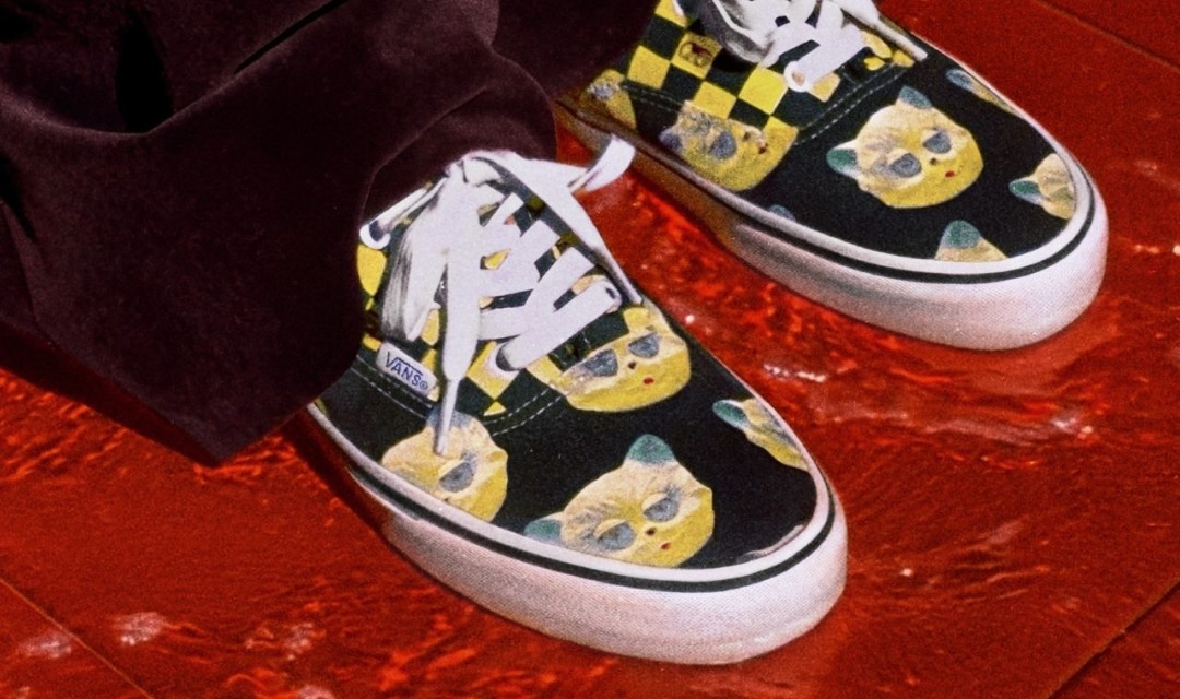Valentino х Vans