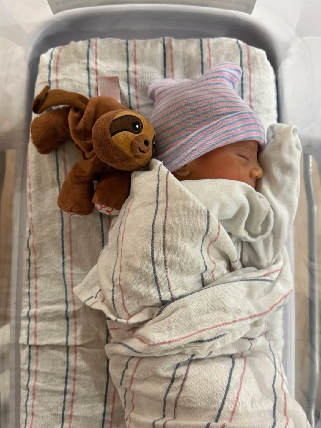 Энрике Иглесиас и Анна Курникова стали родителями