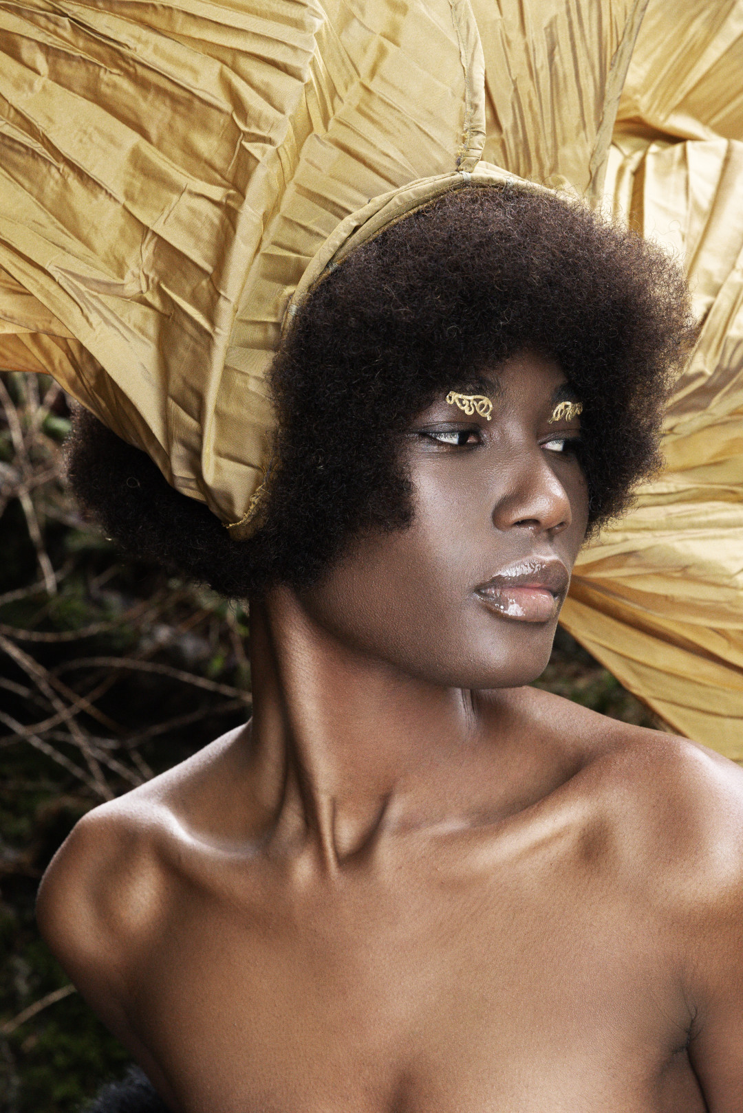 Охотник желает знать