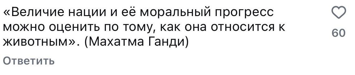 Казнить нельзя помиловать: реакция казахстанцев на новые поправки в закон о животных