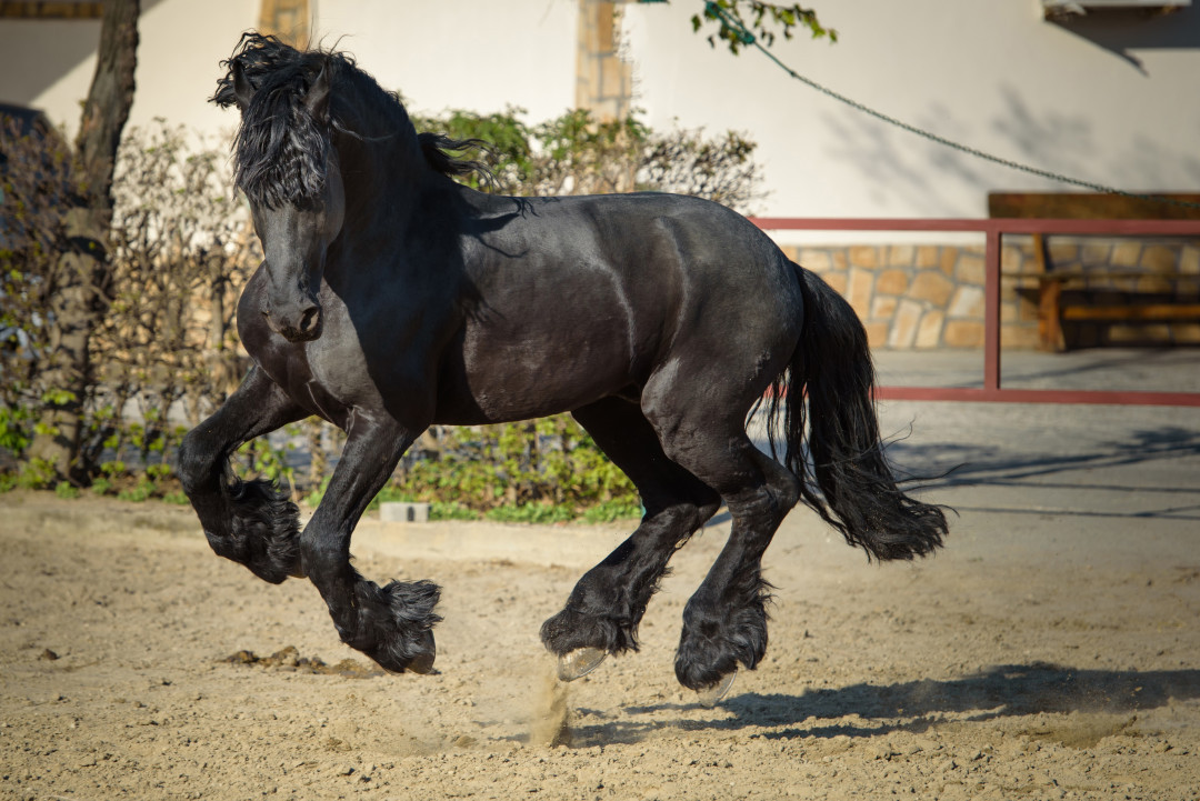 Қазақ мәдениетіндегі «Жеті қазына» ұғымы