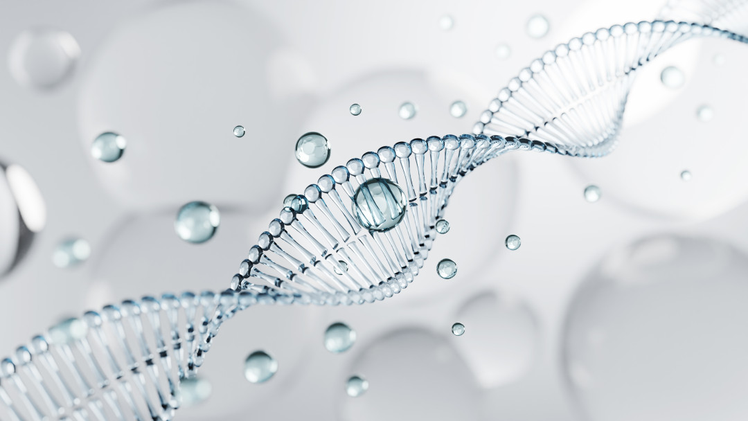 правда о коллагене