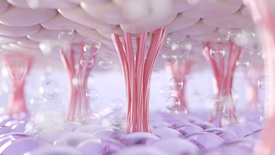 Коллагеновый банкинг — новый тренд в антивозрастном уходе, который обещает отличные результаты 