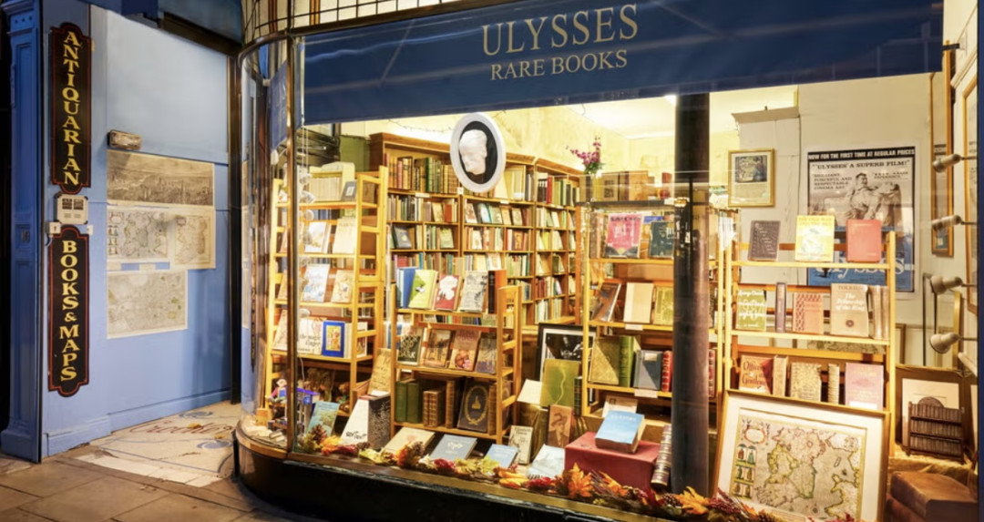 Дублин глазами Симон Роша 