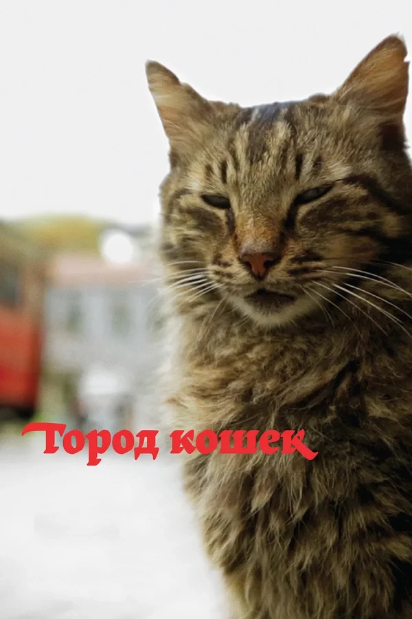 Жизнь замечательных зверей: лучшие документальные фильмы о бездомных животных