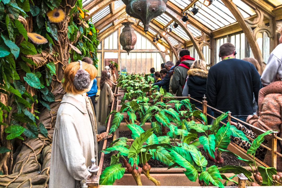 как выглядят дети семьи Уизли в сериале Гарри Поттер