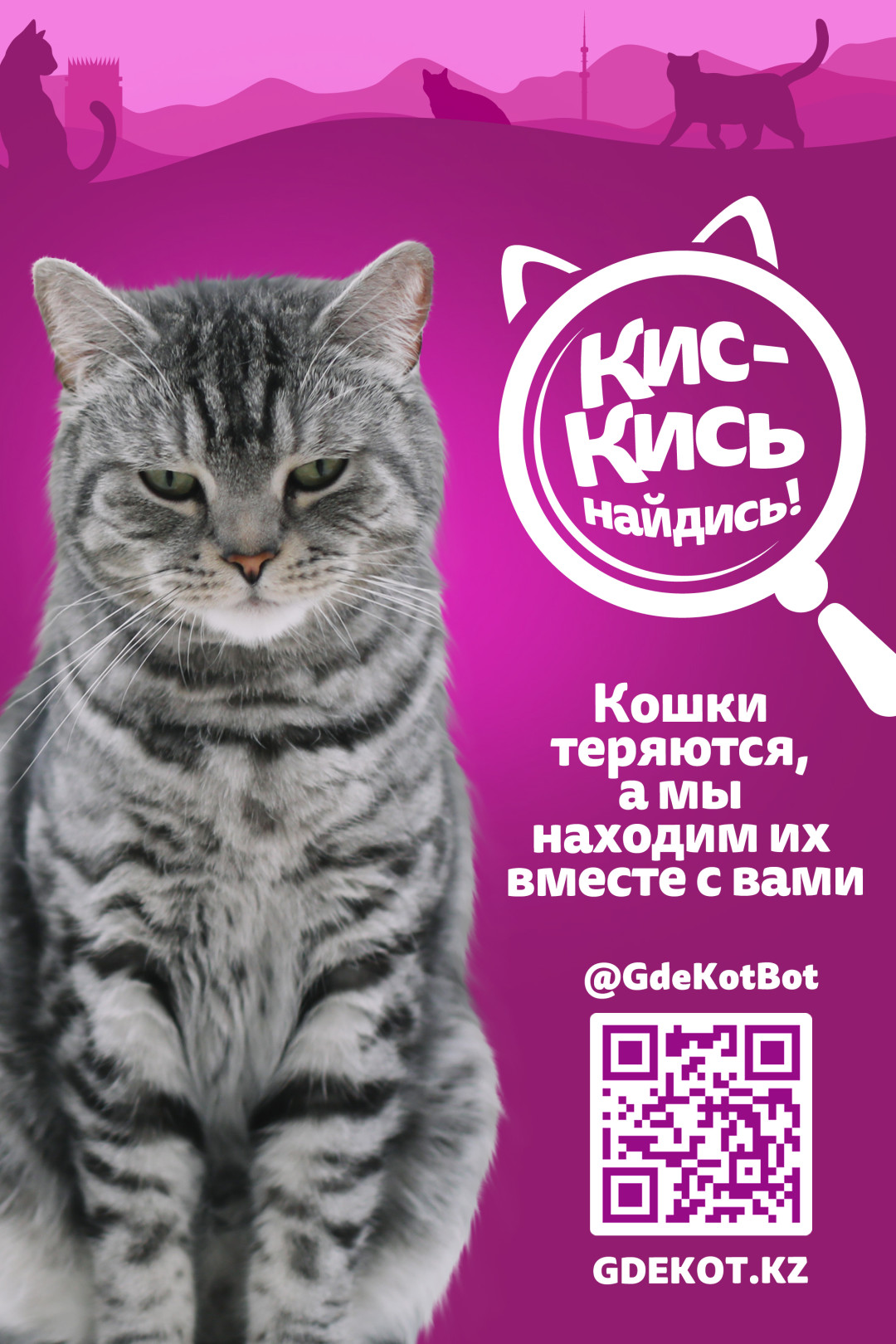 В Казахстане запустили сервис для поиска пропавших кошек