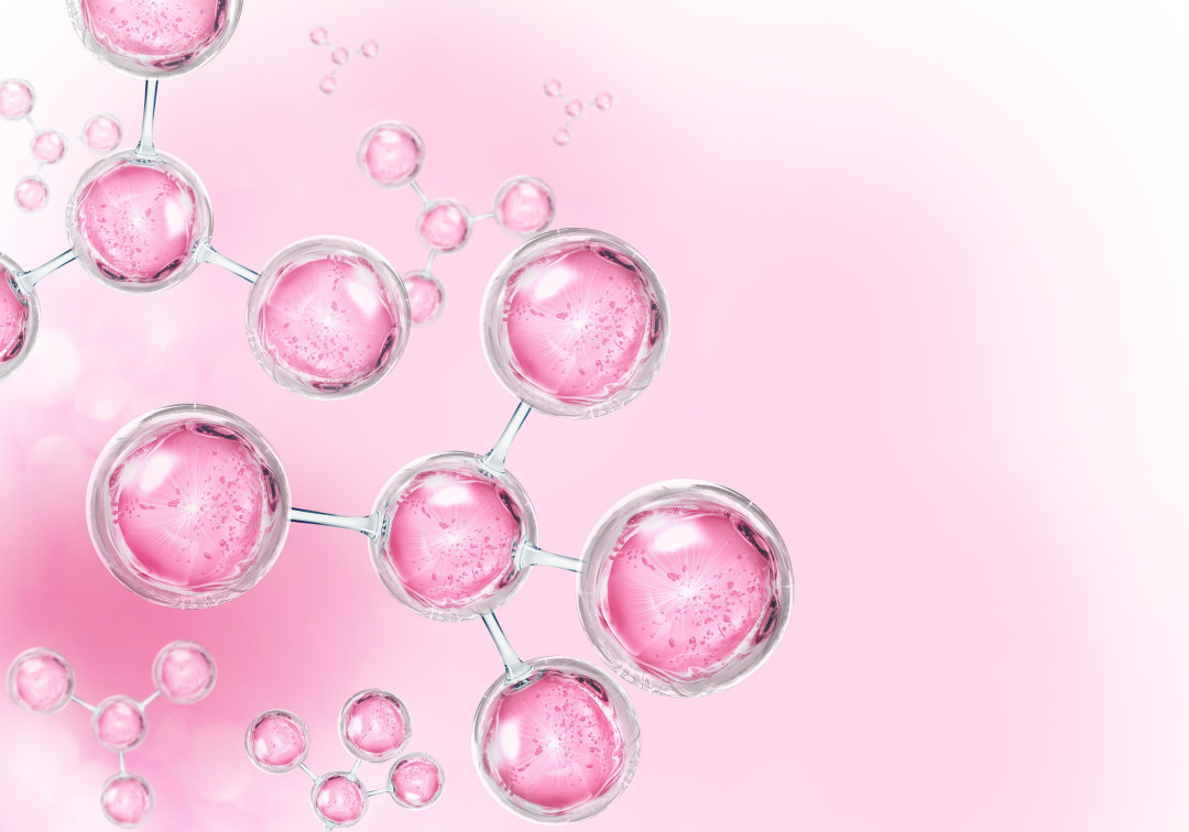 Секс және цикл: гормондар фазалары құмарлыққа, сезімталдыққа және оргазмға қалай әсер етеді?