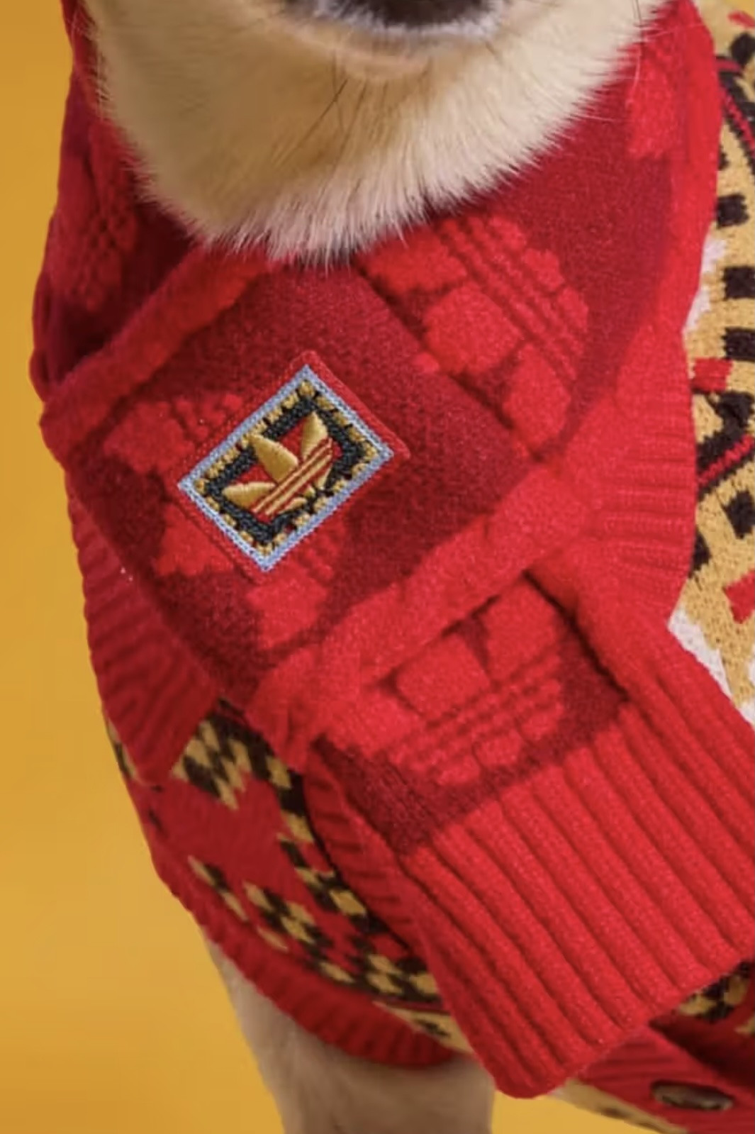 Коллекция для домашних животных adidas