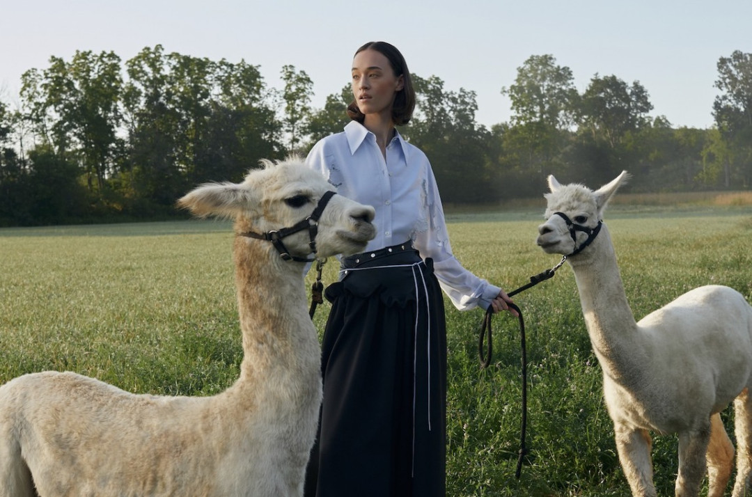 Апталық жұлдыз-жорамал: 24–30 қараша аралығында жұлдыздар сізге не дайындады?