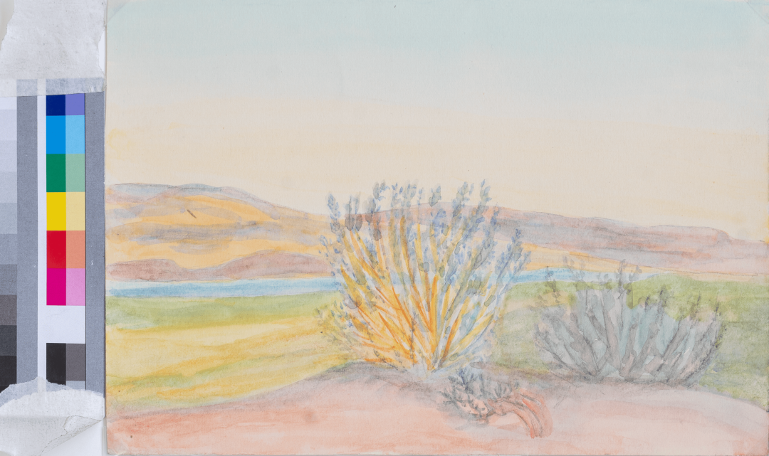 Глазами смотрящего: коллектив Almaty Museum of Arts — о своих любимых работах, представленных в музее