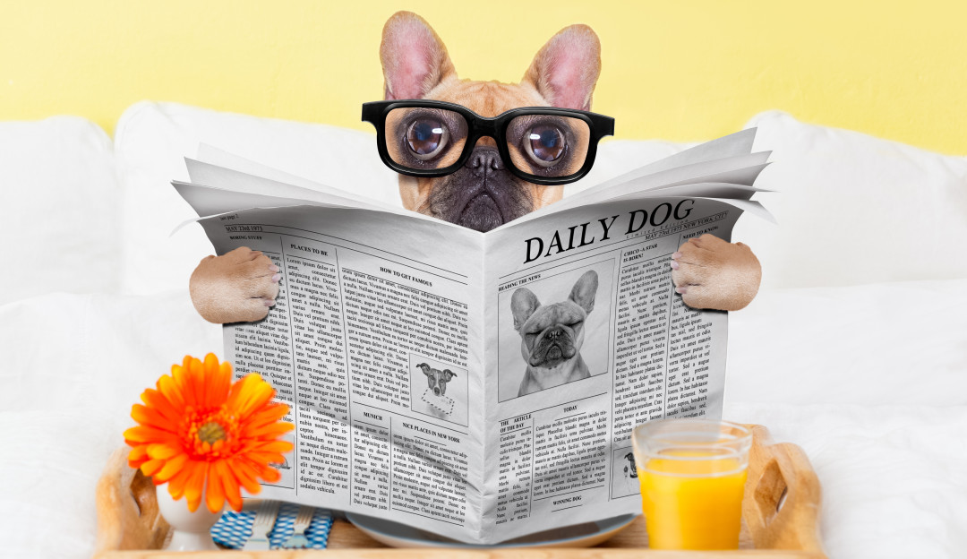 Собака по знаку зодиака