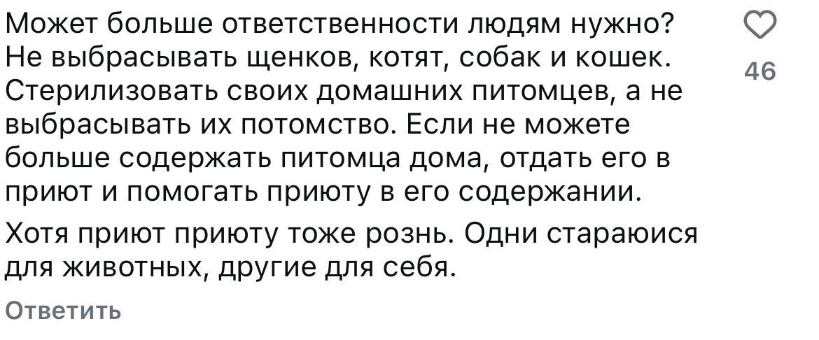 Казнить нельзя помиловать: реакция казахстанцев на новые поправки в закон о животных