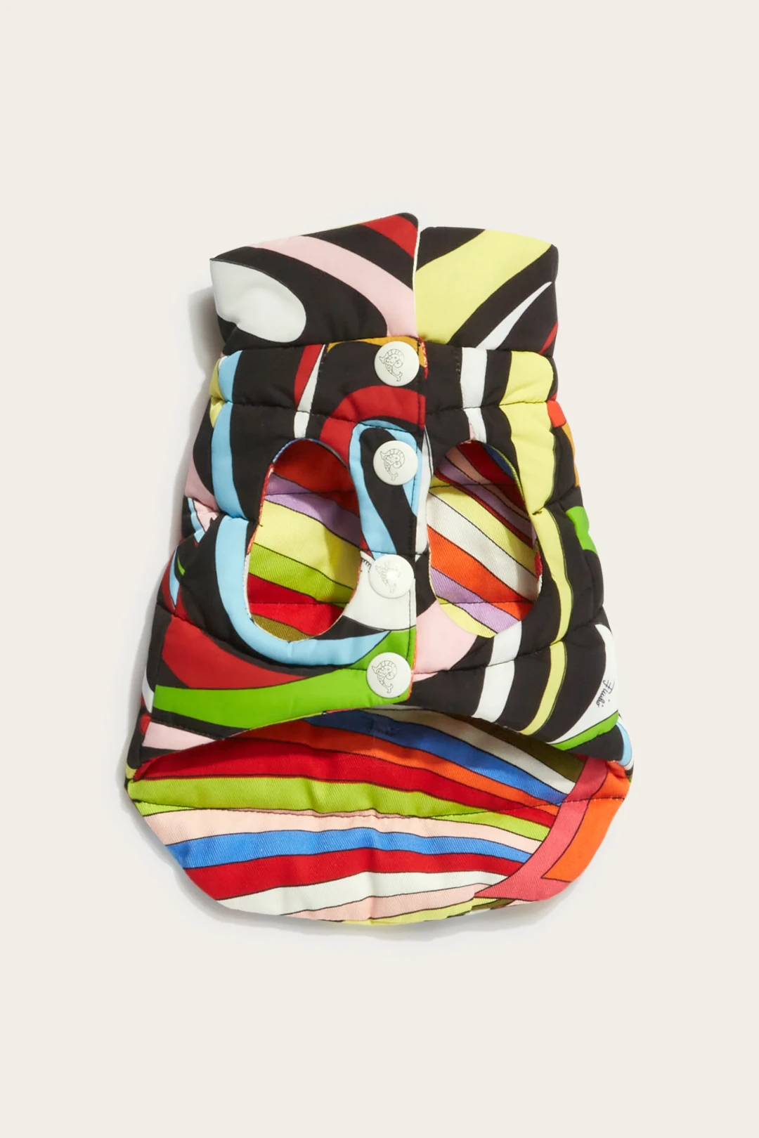 Модные бренды, создающие одежду для питомцев