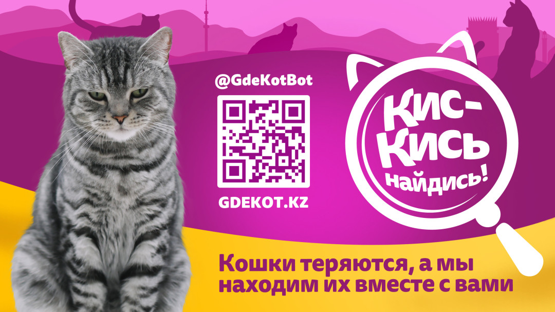 сервис для поиска пропавших кошек