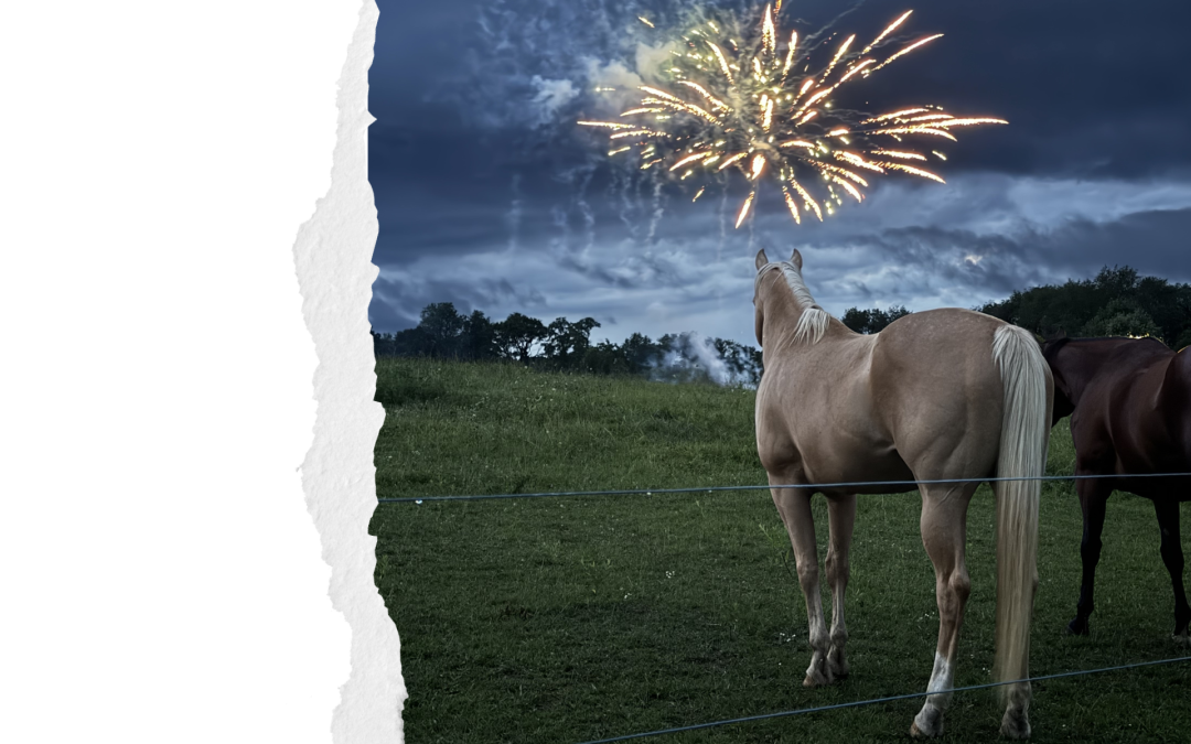 Как Новый год для казахстанки чуть не закончился плачевно или почему стоит отказаться от пиротехники?