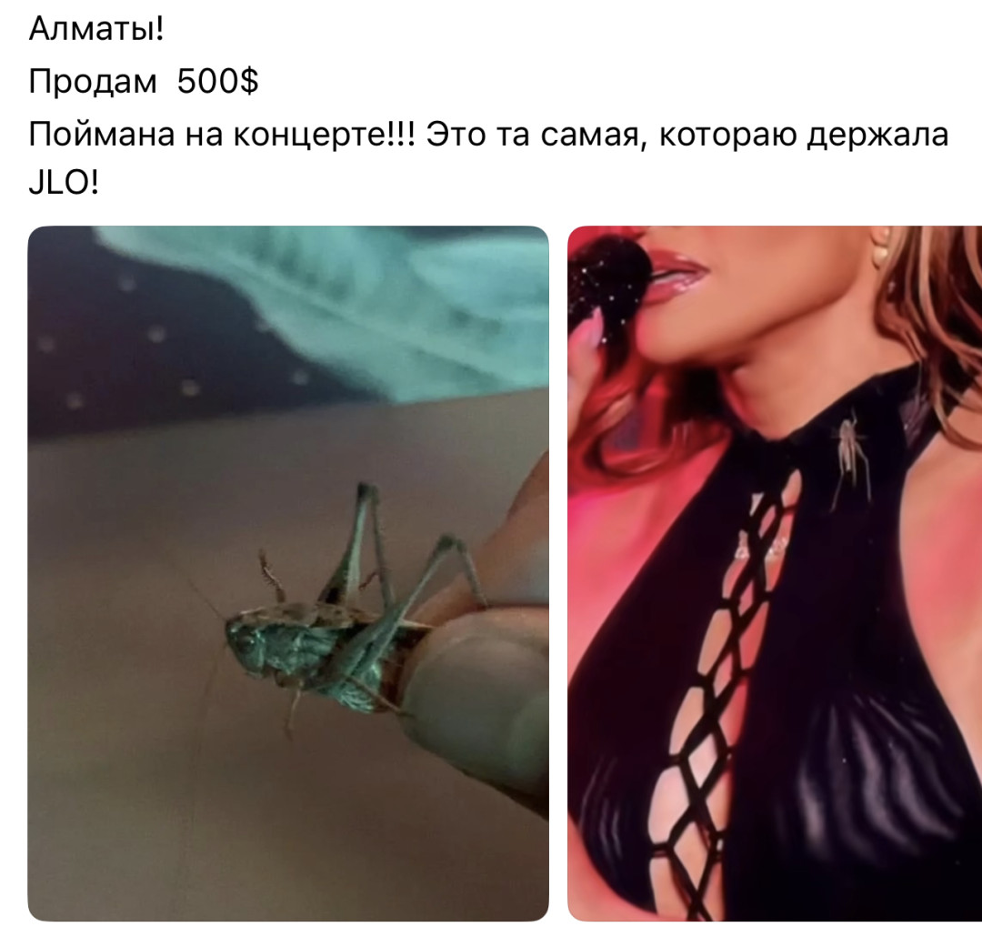 Самые смешные мемы с концерта Дженнифер Лопес