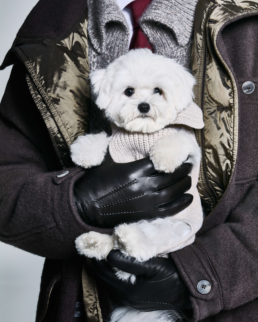 Модные бренды, создающие одежду для питомцев
