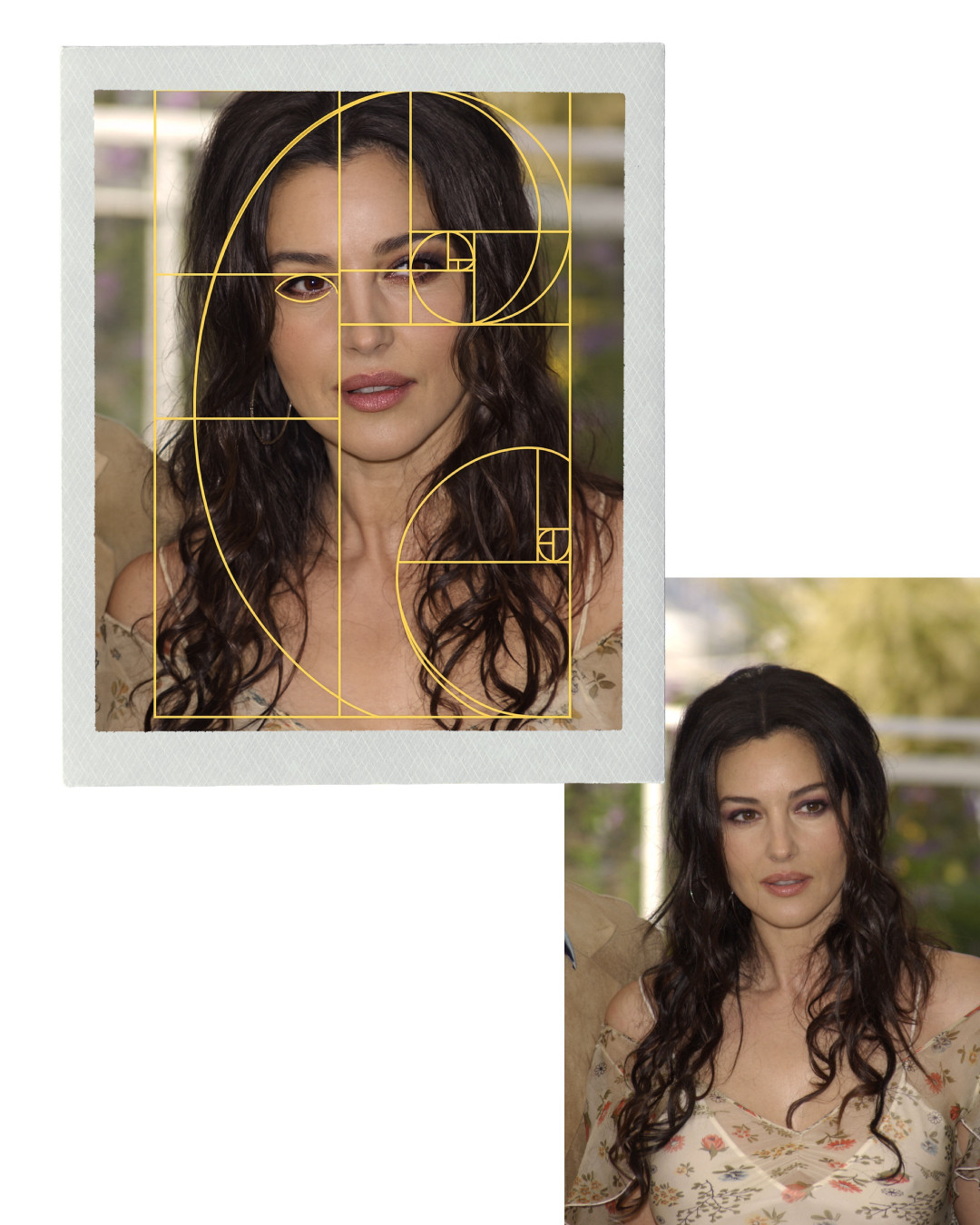 Золотое сечение: формула красоты или миф? Проверяем на знаменитостях