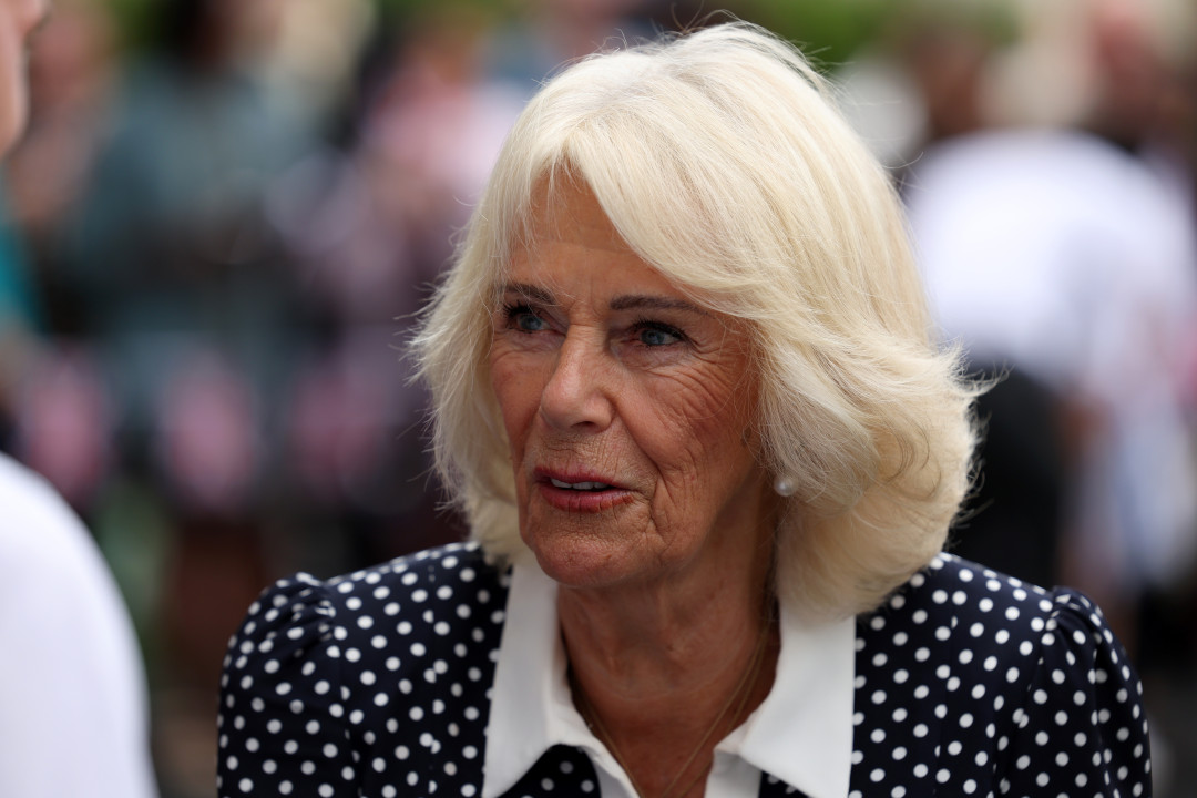 Королева Камилла стала героиней романа