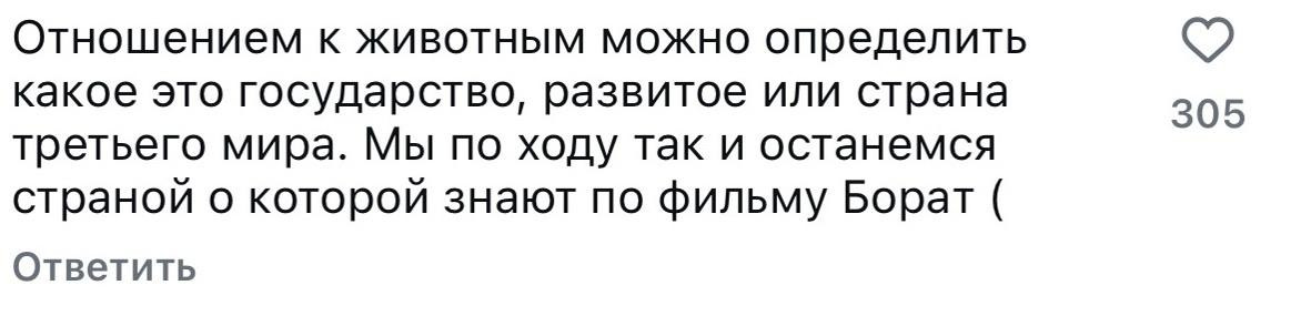 Казнить нельзя помиловать: реакция казахстанцев на новые поправки в закон о животных