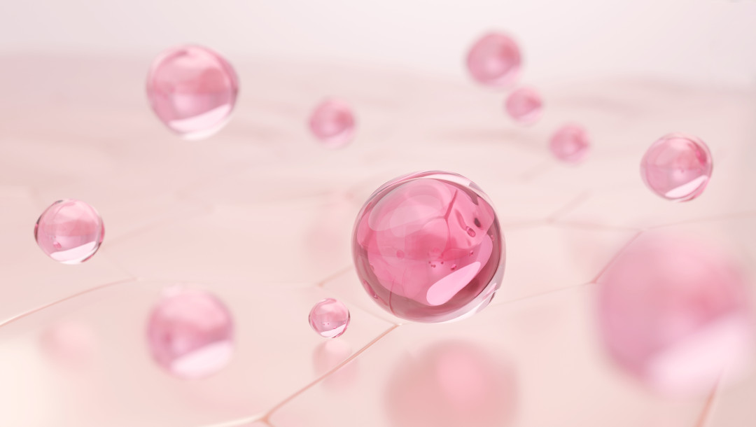 Что такое PDRN