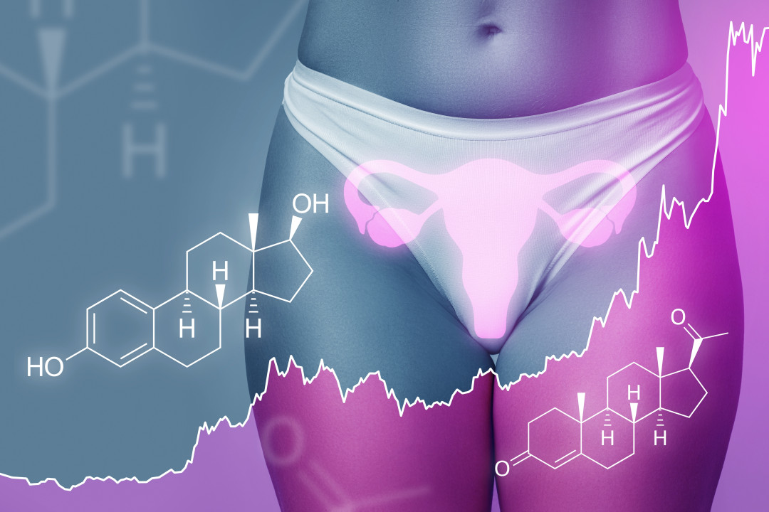 Секс и цикл: как фазы гормонов влияют на желание, чувствительность, оргазм