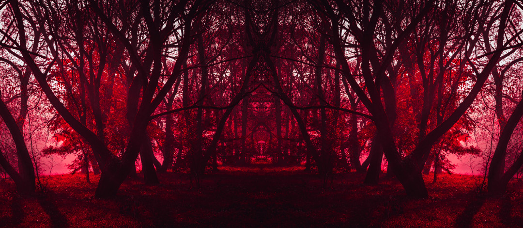 в пятом сезоне Очень странные дела ошибка