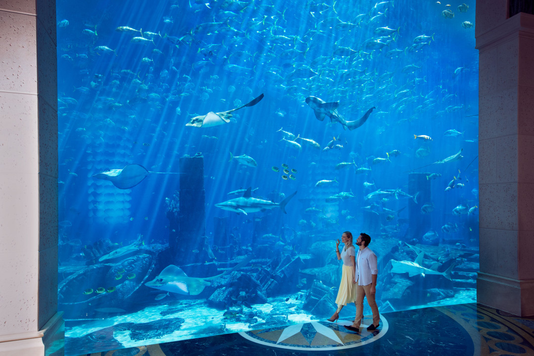 Atlantis, The Palm: арабская сказка для всей семьи