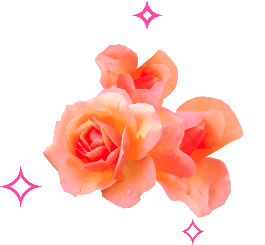 louis vuitton louis vuitton