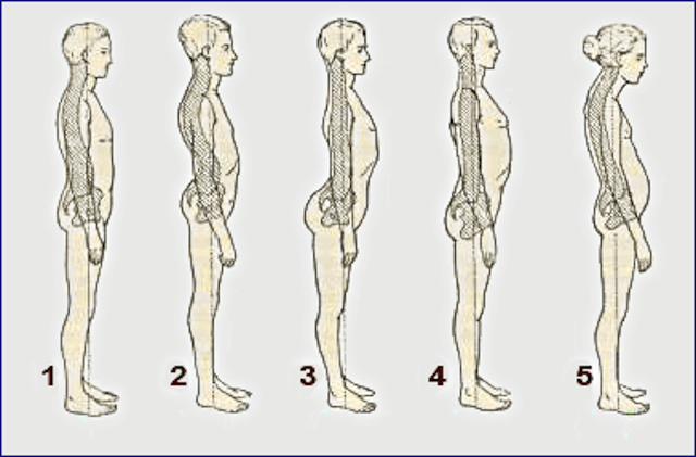 Прямая спина 