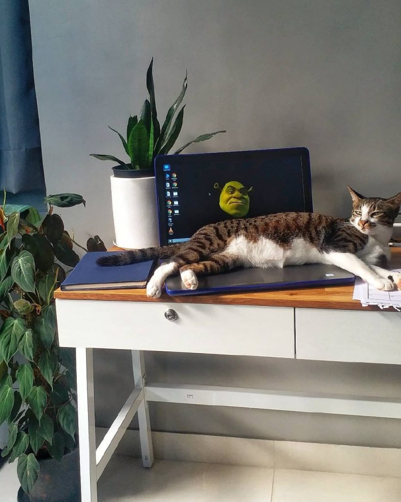 работа из дома