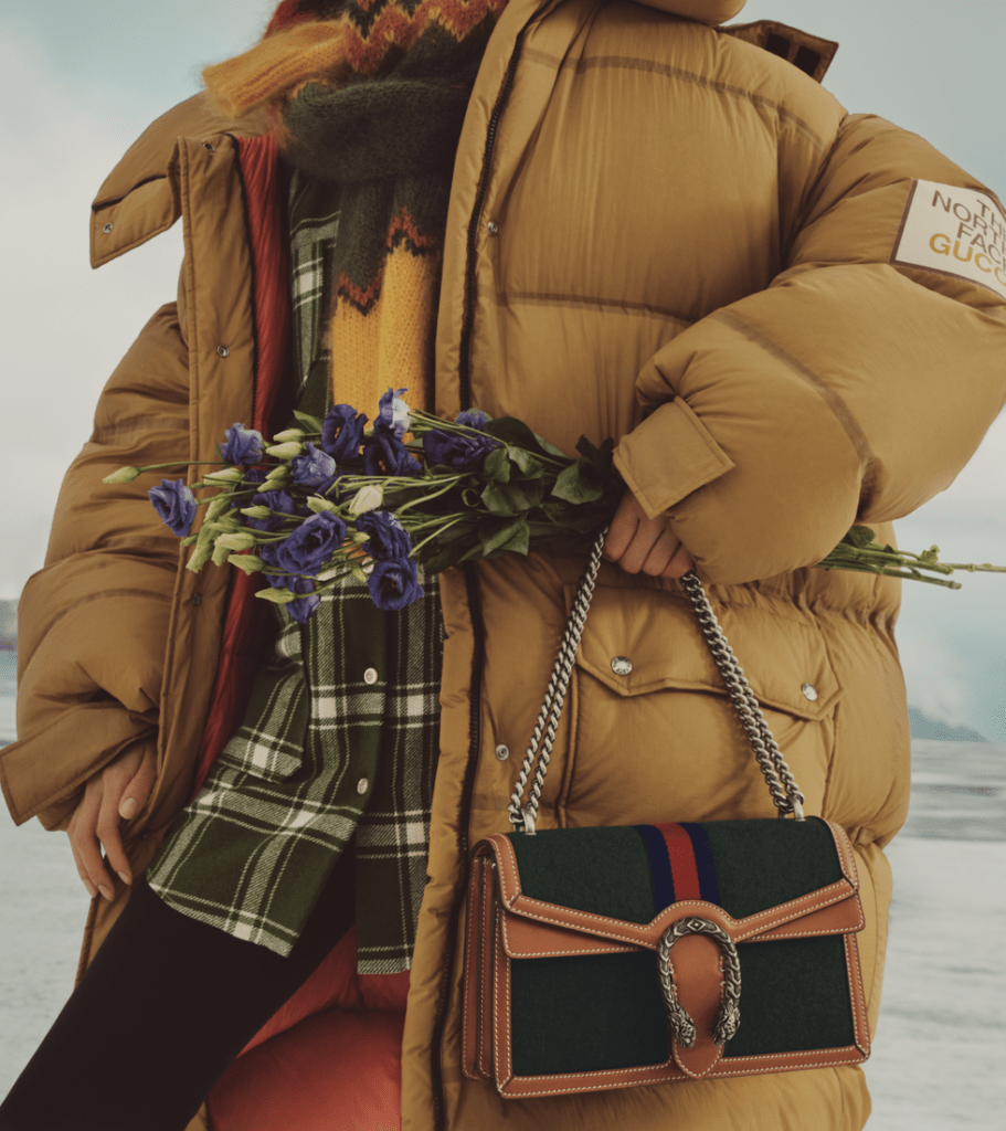 The North Face х Gucci