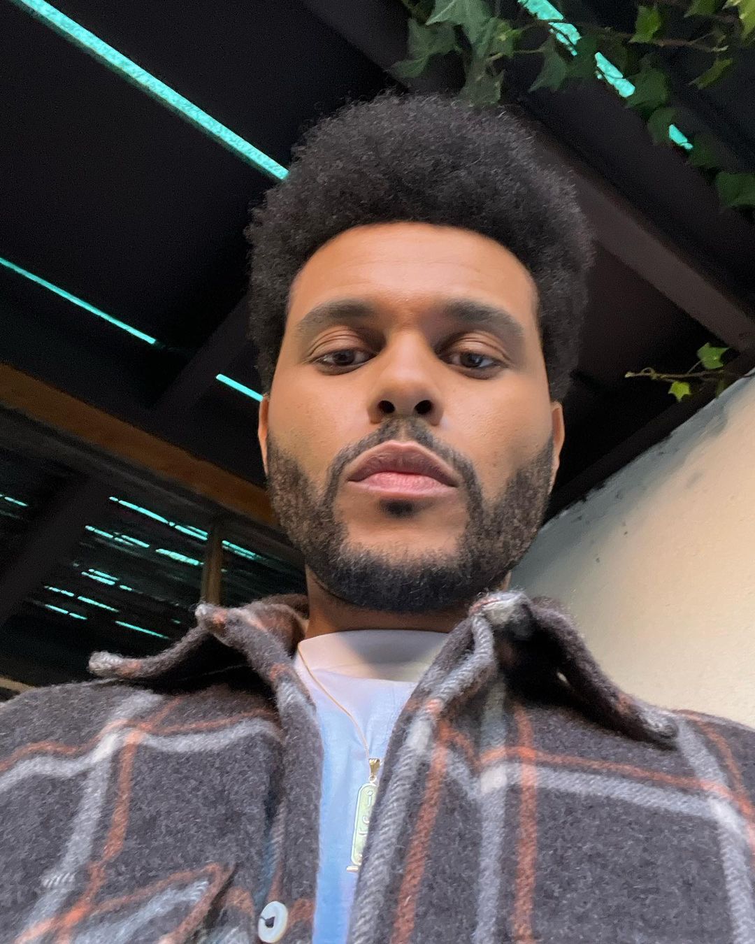 the weeknd