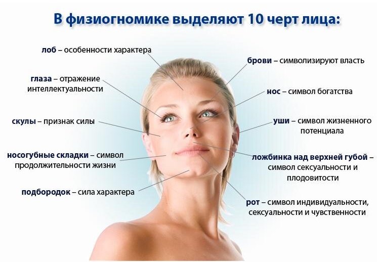 невербальное общение физиагномика