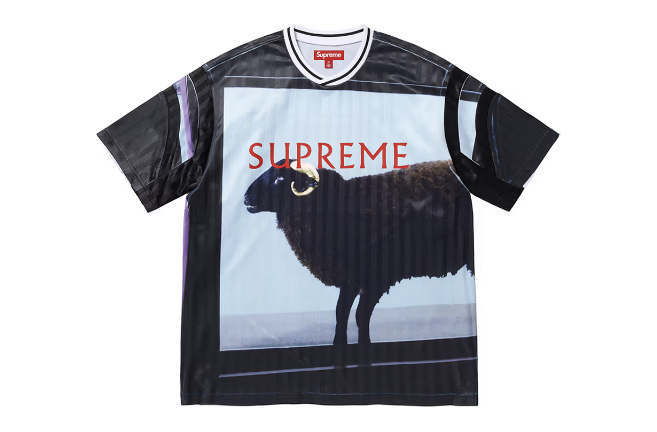 Весенне-летняя коллекция Supreme 2025