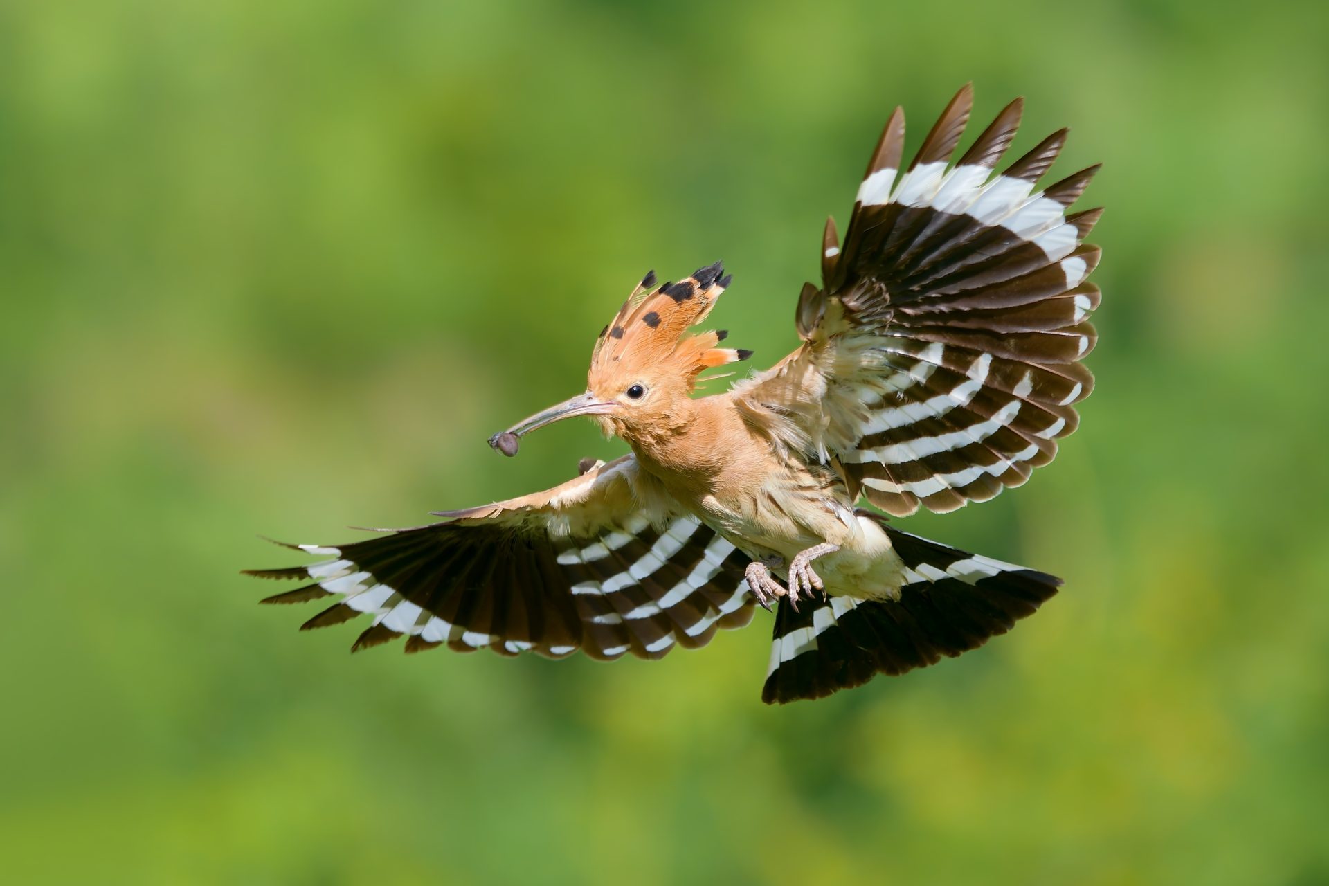 искусственный интеллект