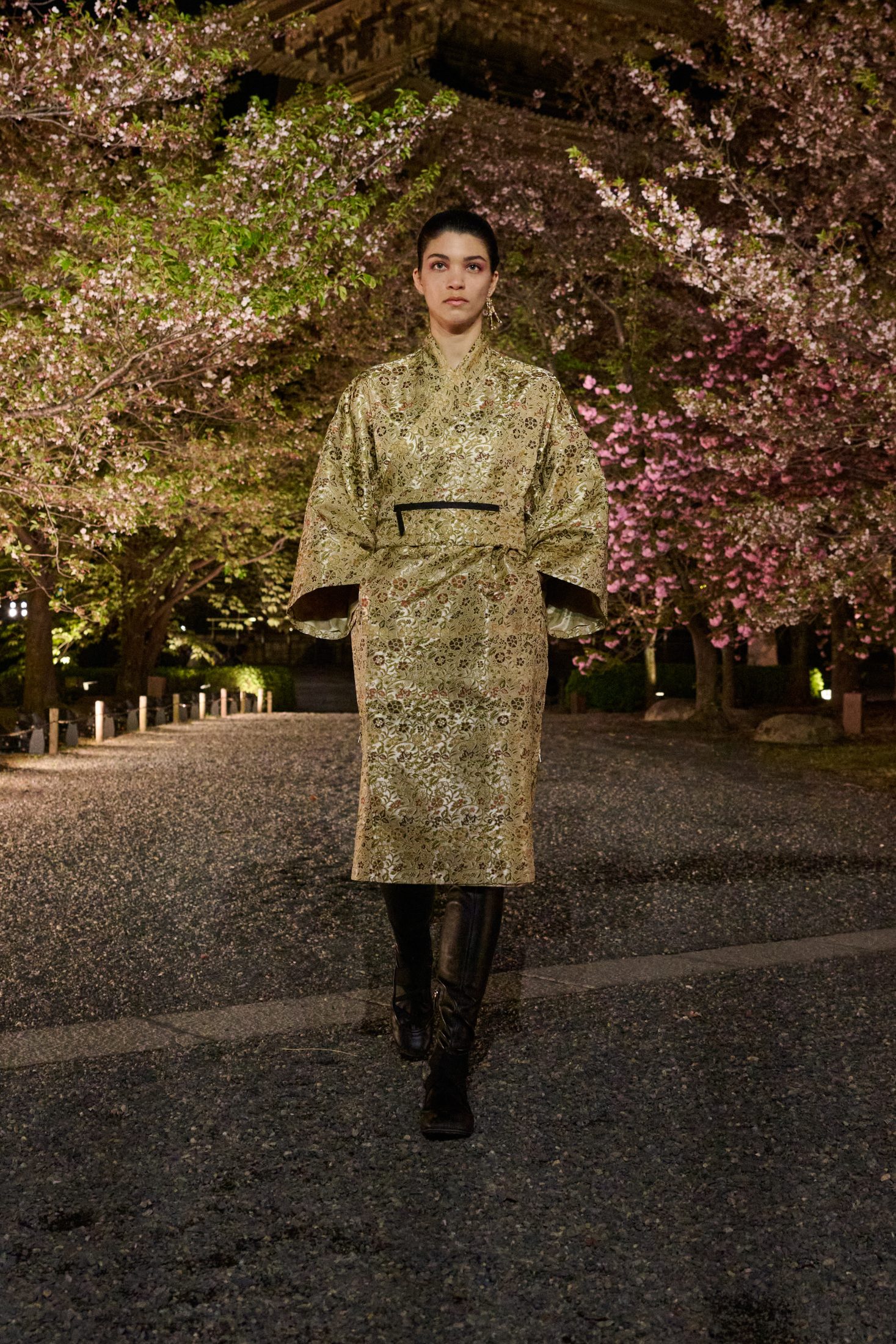 Dior Pre-Fall 2025
