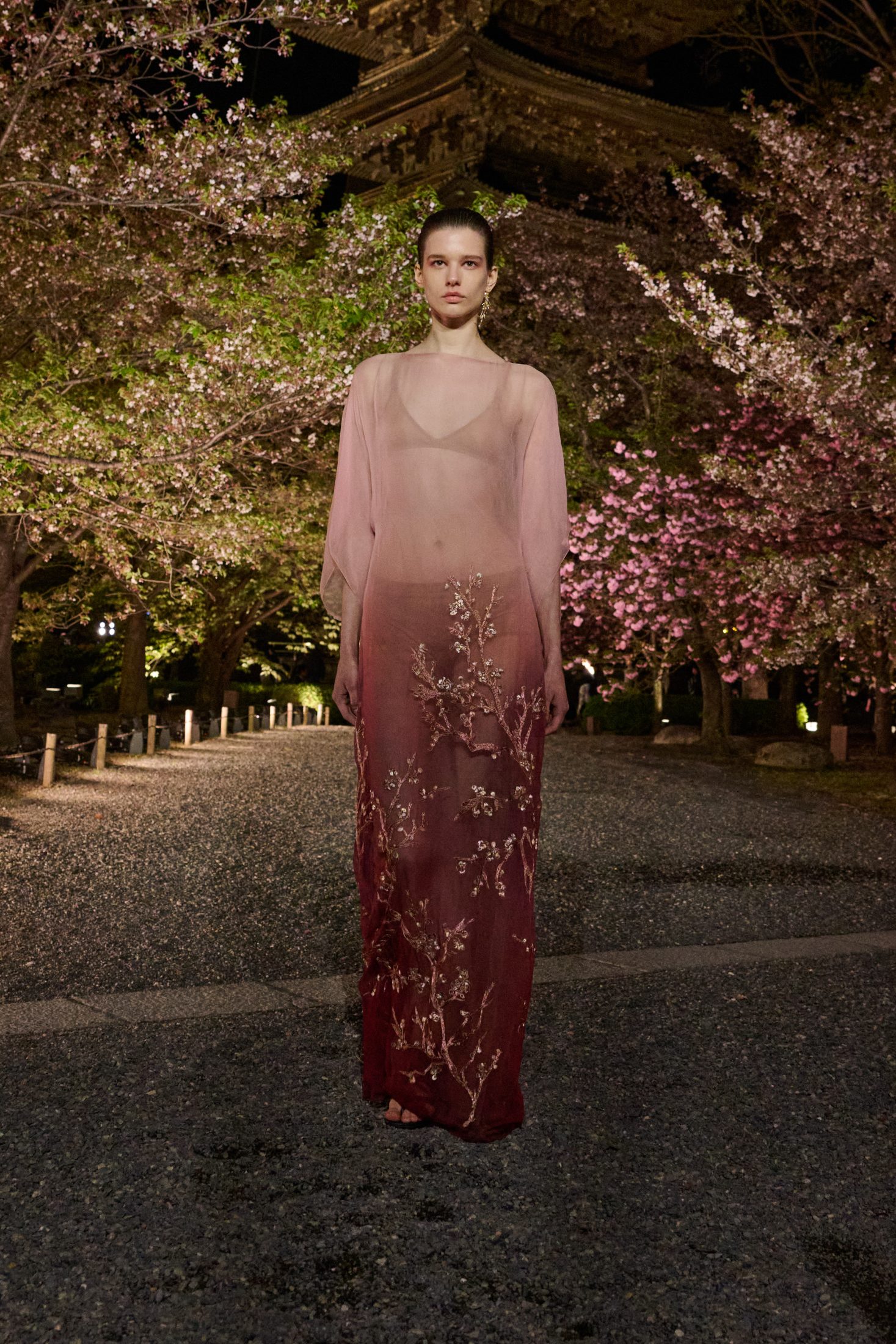 Dior Pre-Fall 2025