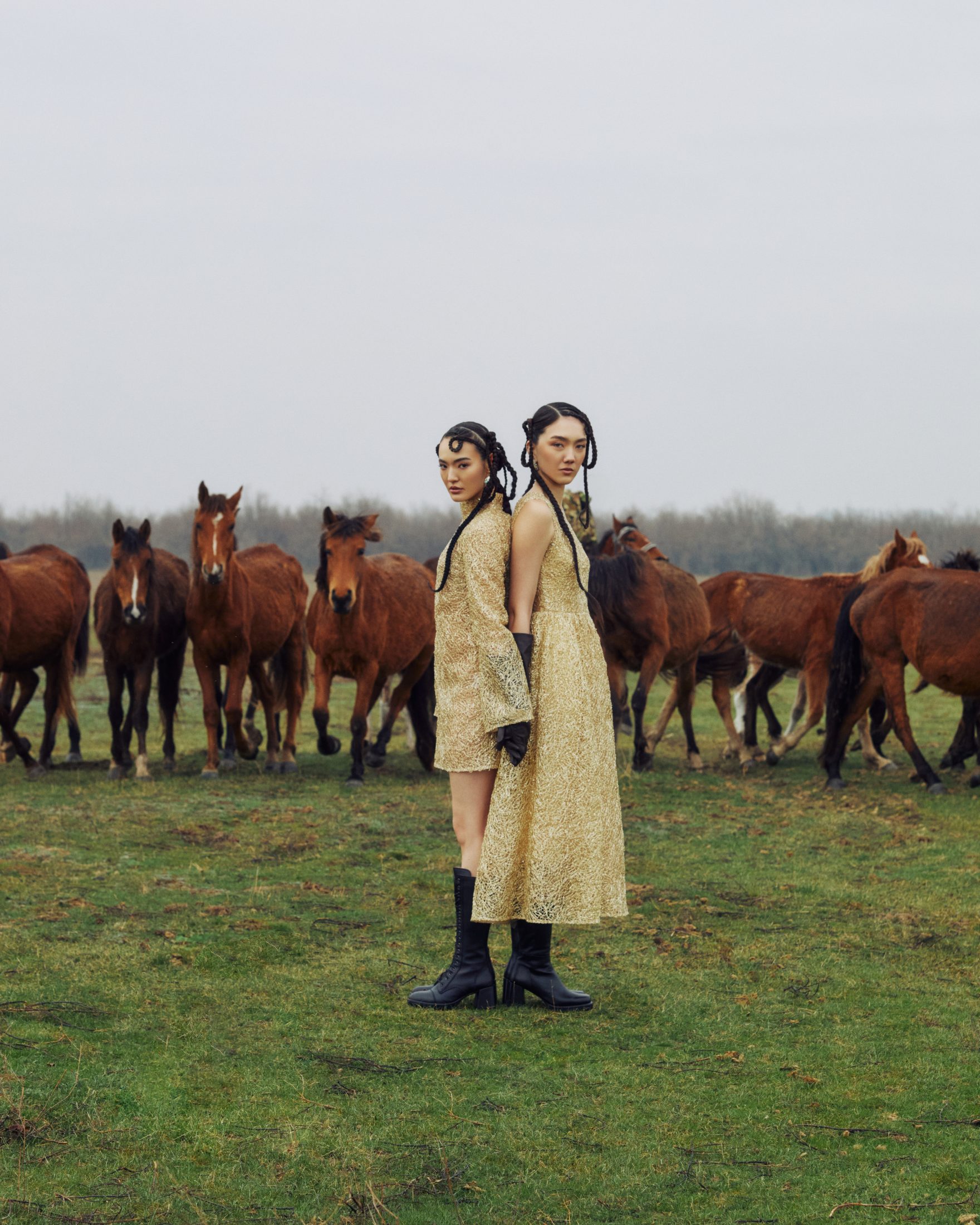 Хозяйки степи