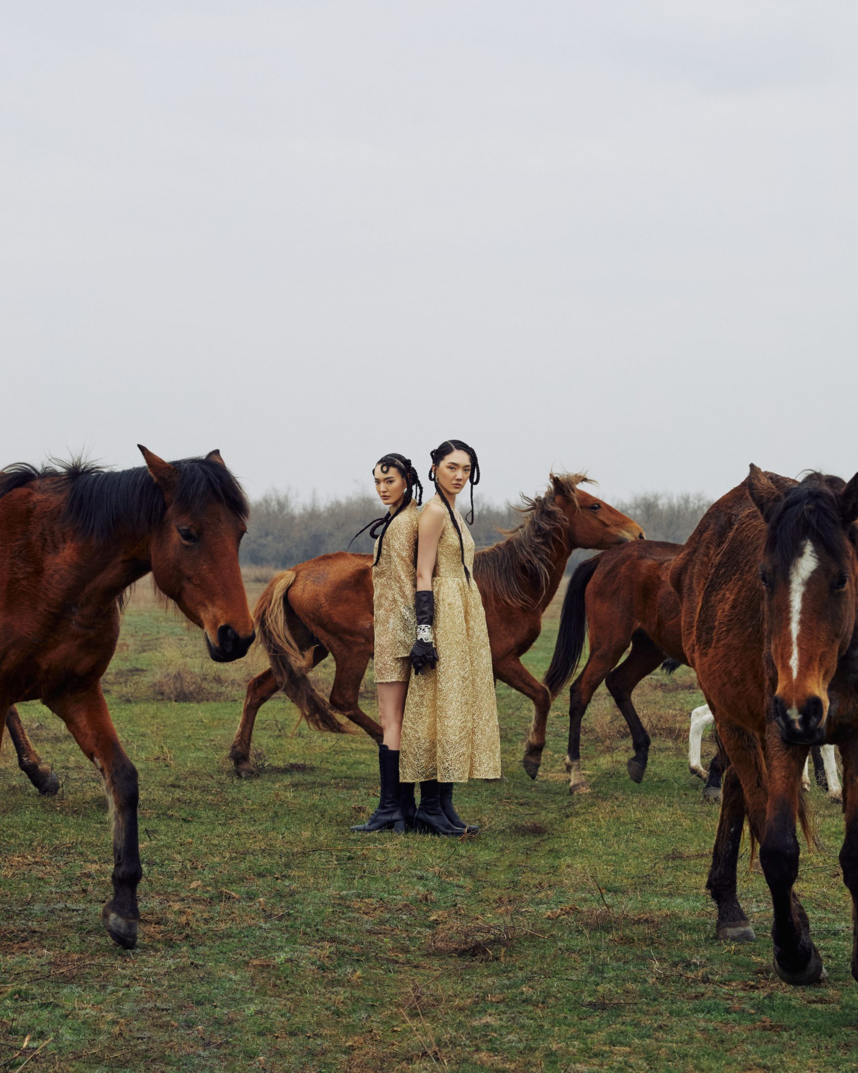 Хозяйки степи