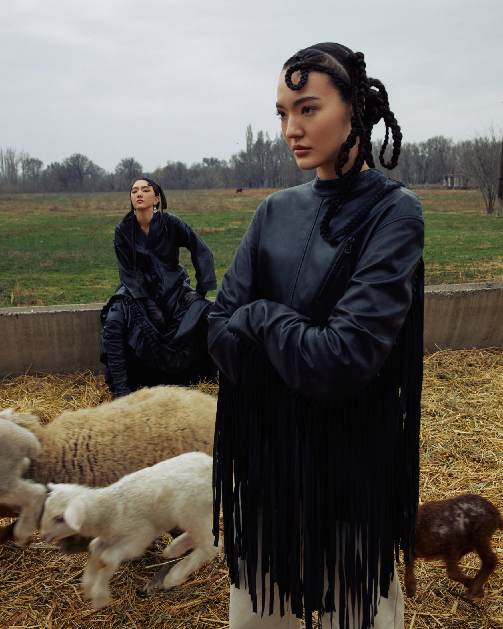 Хозяйки степи